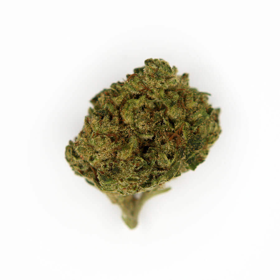 Wedding Gelato